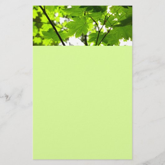 Ahorn-Blätter mit Regentropfen Briefpapier (Vorderseite)