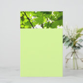 Ahorn-Blätter mit Regentropfen Briefpapier (Stehend Vorderseite)