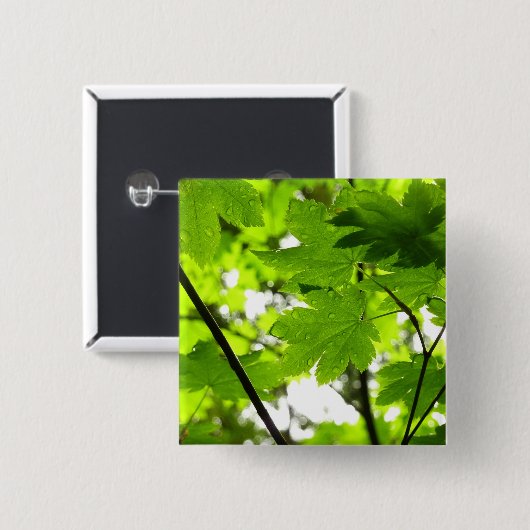 Ahorn-Blätter mit Regentropfen Button (Vorne & Hinten)