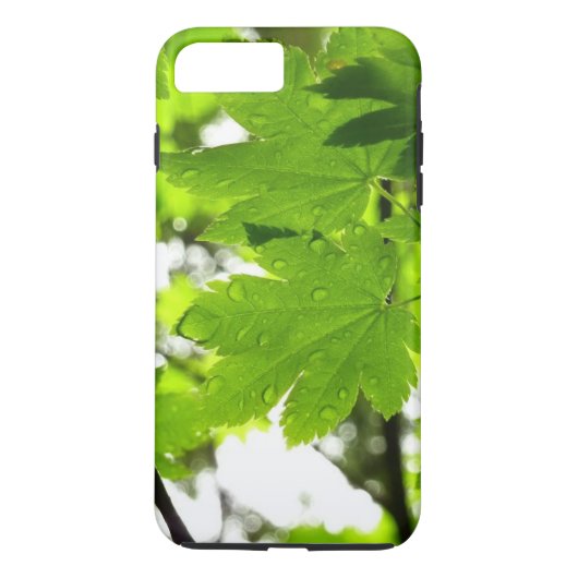 Ahorn-Blätter mit Regentropfen Case-Mate iPhone Hülle (Rückseite)