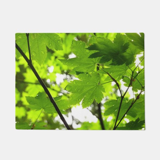 Ahorn-Blätter mit Regentropfen Fußmatte (Vorderseite)