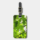 Ahorn-Blätter mit Regentropfen Gepäckanhänger (Vorderseite vertikal)
