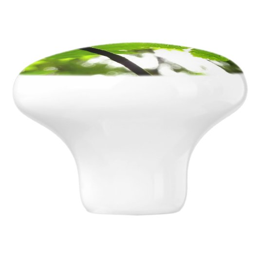 Ahorn-Blätter mit Regentropfen Keramikknauf (Seitenansicht)