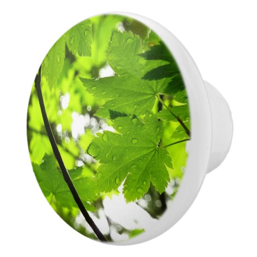 Ahorn-Blätter mit Regentropfen Keramikknauf (Rechts)