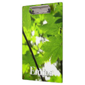 Ahorn-Blätter mit Regentropfen Klemmbrett (Links)