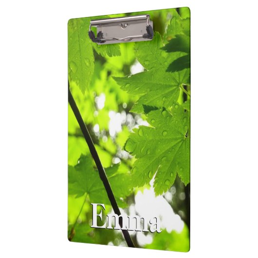 Ahorn-Blätter mit Regentropfen Klemmbrett (Links)