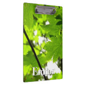 Ahorn-Blätter mit Regentropfen Klemmbrett (Rechts)