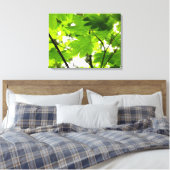 Ahorn-Blätter mit Regentropfen Leinwanddruck (Insitu (Schlafzimmer))