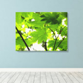 Ahorn-Blätter mit Regentropfen Leinwanddruck (Insitu (Holzboden))