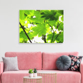 Ahorn-Blätter mit Regentropfen Leinwanddruck (Insitu (Wohnzimmer))