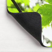 Ahorn-Blätter mit Regentropfen Mousepad (Ecke)