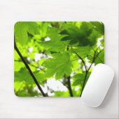 Ahorn-Blätter mit Regentropfen Mousepad (Mit Mouse)