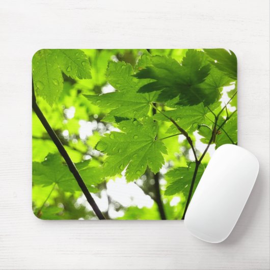 Ahorn-Blätter mit Regentropfen Mousepad (Mit Mouse)