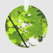 Ahorn-Blätter mit Regentropfen Ornament (Vorderseite)