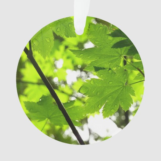 Ahorn-Blätter mit Regentropfen Ornament (Vorderseite)