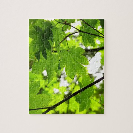 Ahorn-Blätter mit Regentropfen Puzzle (Vertikal)