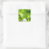 Ahorn-Blätter mit Regentropfen Quadratischer Aufkleber (Tasche)