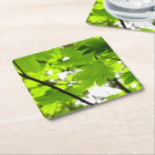 Ahorn-Blätter mit Regentropfen Rechteckiger Pappuntersetzer (angewinkelt)