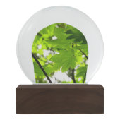 Ahorn-Blätter mit Regentropfen Schneekugel (Rückseite)