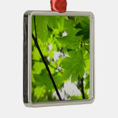 Ahorn-Blätter mit Regentropfen Silbernes Ornament (Rechts)