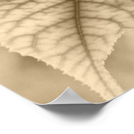 Ahorn-Blätter Poster (Ecke)