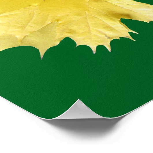 Ahorn-Blätter Poster (Ecke)