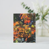 Ahorn-Blätter Postkarte (Stehend Vorderseite)