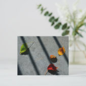 Ahorn-Blätter Postkarte (Stehend Vorderseite)