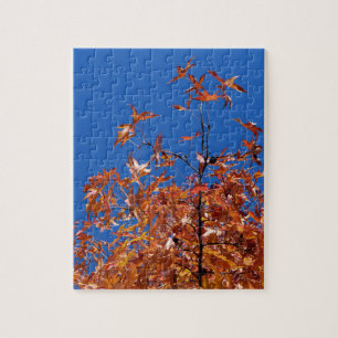 Ahorn-Blätter Puzzle