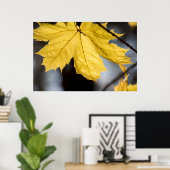 Ahorn, Fall Poster (Heimbüro)