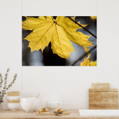 Ahorn, Fall Poster (Küche)