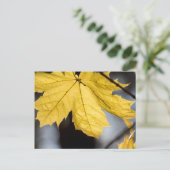 Ahorn, Fall Postkarte (Stehend Vorderseite)