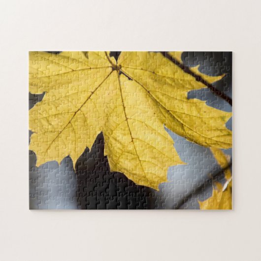 Ahorn, Fall Puzzle (Horizontal)