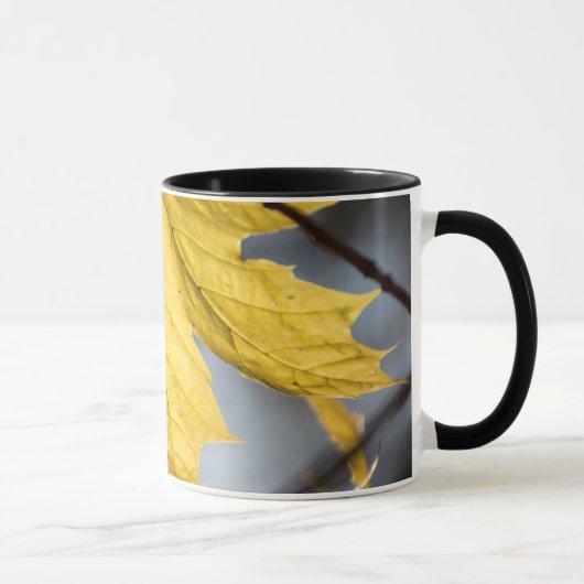 Ahorn, Fall Tasse (Rechts)