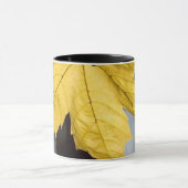 Ahorn, Fall Tasse (Zentrum)