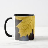 Ahorn, Fall Tasse (Links)