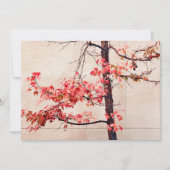 Ahorn Feiertagskarte (Vorderseite)