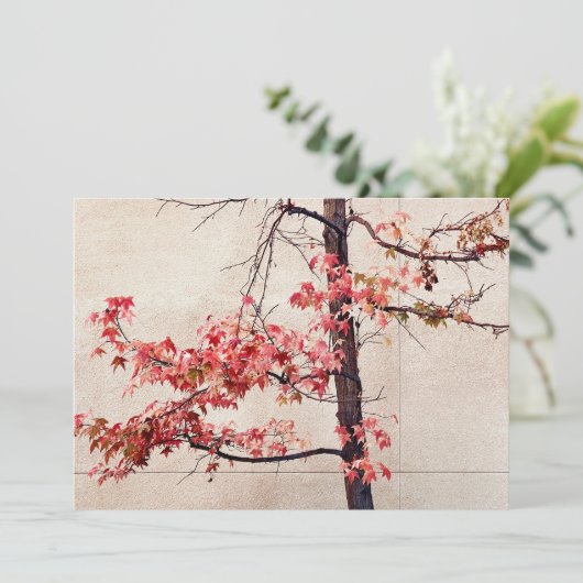 Ahorn Feiertagskarte (Stehend Vorderseite)