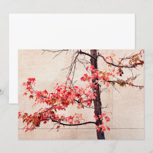 Ahorn Feiertagskarte