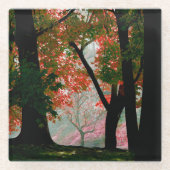 Ahorn Glasuntersetzer (Vorderseite)