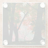 Ahorn Glasuntersetzer (Rückseite)