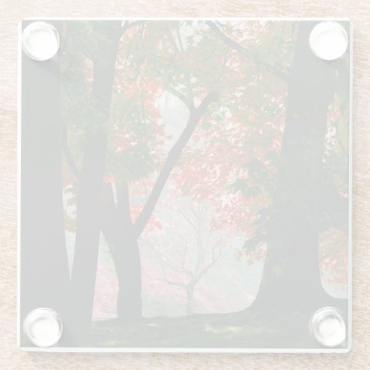 Ahorn Glasuntersetzer (Rückseite)