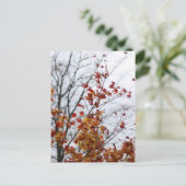 Ahorn II Postkarte (Stehend Vorderseite)