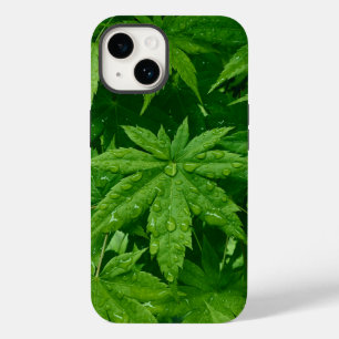 Ahorn im Frühling Case-Mate iPhone 14 Hülle