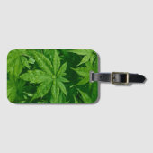 Ahorn im Frühling Gepäckanhänger (Vorderseite (Horizontal))