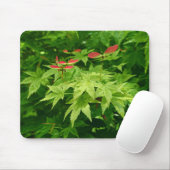 Ahorn im Frühling Mousepad (Mit Mouse)