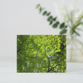 Ahorn im Frühling Postkarte (Stehend Vorderseite)