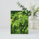 Ahorn im Frühling Postkarte (Stehend Vorderseite)