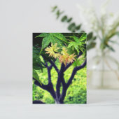 Ahorn im Frühling Postkarte (Stehend Vorderseite)