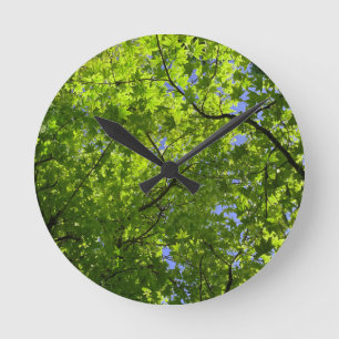 Ahorn im Frühling Runde Wanduhr